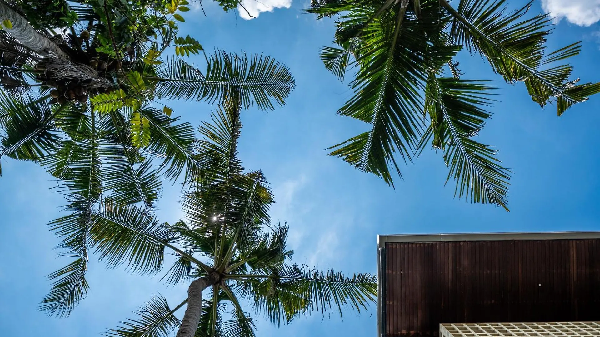 Work, Stay End Unwind! Jungle Vista Apartments Ubud By Bcg Indonesia