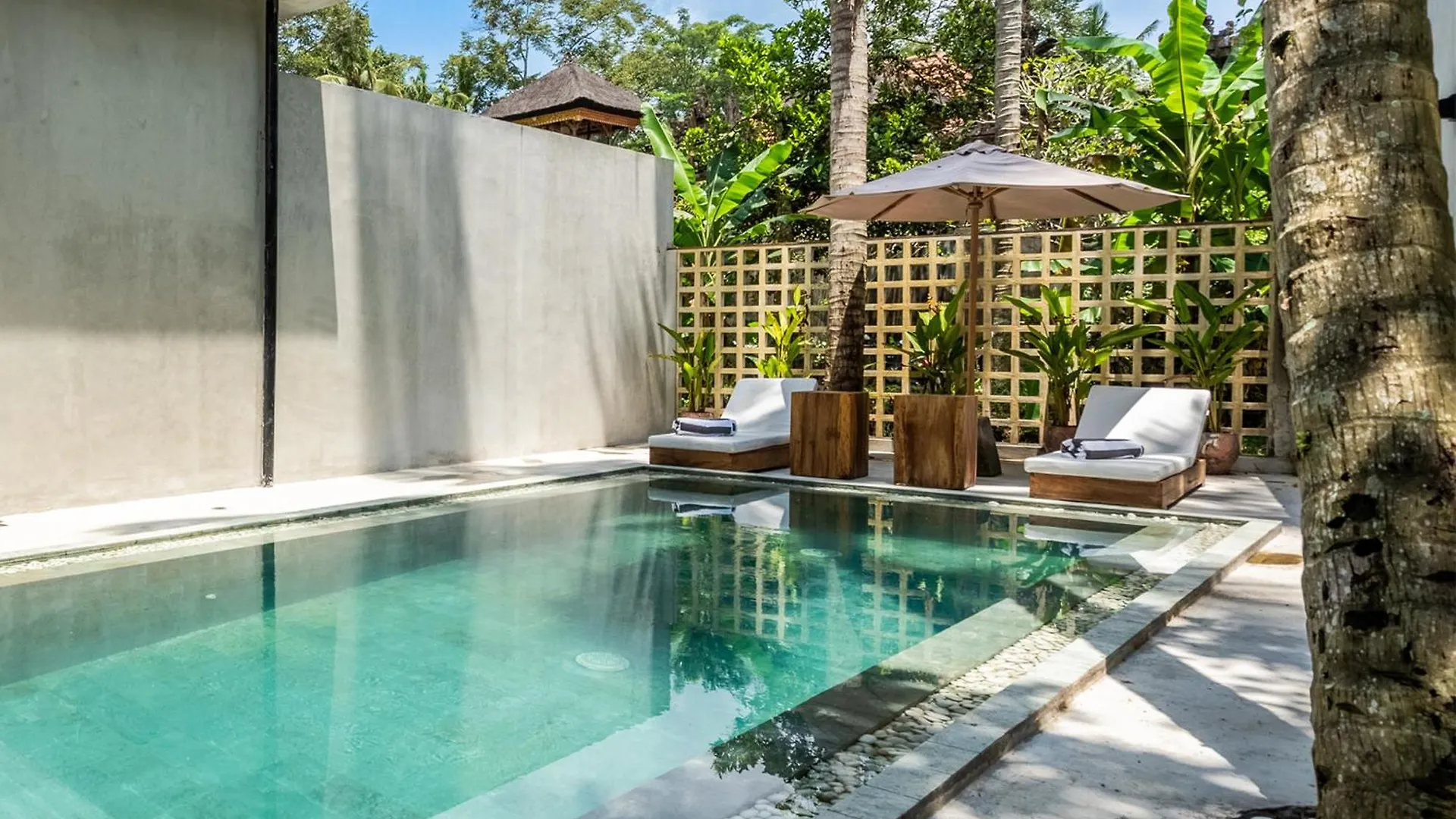 Work, Stay End Unwind! Jungle Vista Apartments Ubud By Bcg  Ubud (Bali)