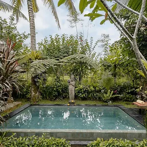  Villa Moringa